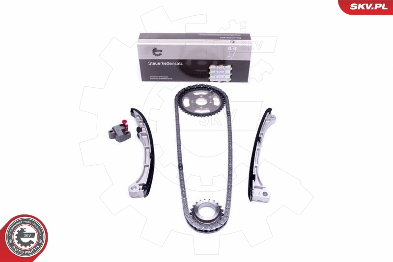 Timing Chain Kit